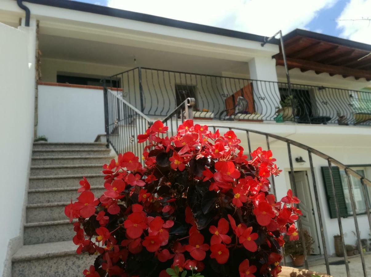 Apartamento Il Giardino Lotzorai Exterior foto